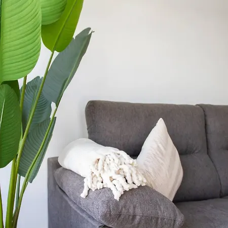Penthouse With Rooftop Terrace * Villamartin (Valencia)